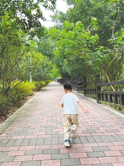 暑假到江门感受“山林清风之旅”。