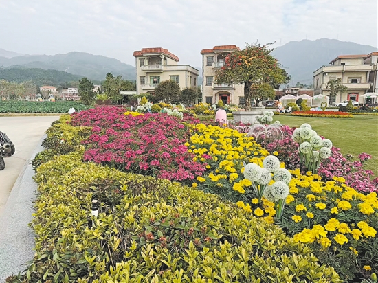 城西村构建起“道路有花、田园有景、庭院有绿”的多层级绿化体系，将田园诗意融入村民日常生活。谌磊