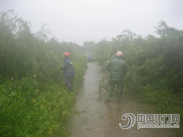 恩平市大槐镇银水驻村干部全力抗击台风 BR 多