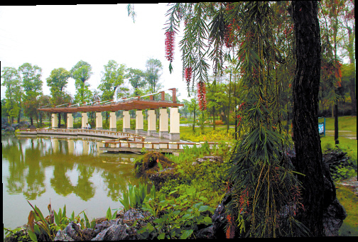 园林绿化养护_人均养护绿化面积指标(3)