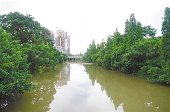 蓬江区的天沙河流域水污染问题突出。