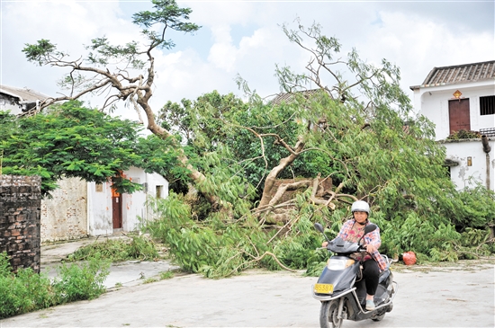 全力以赴抵御台风“帕卡”转移安置危险区域受威胁人员5467名，下一步着力开展救灾复产 中国财经界 www.qbjrxs.com