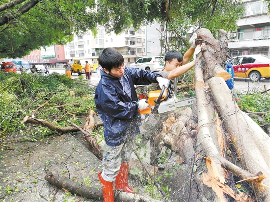 各级携手打赢两场抗风战台风过后，救灾复产工作迅速开展，以最快速度实现“四通” 中国财经界 www.qbjrxs.com