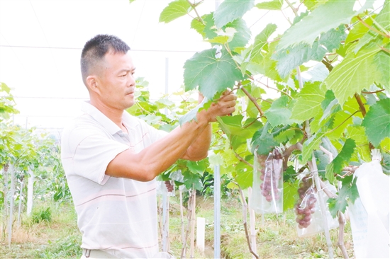 我市拟分 两步走 建设美丽乡村到2025年基本解