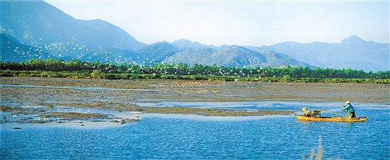 新会银洲湖生态湿地公园,一幅人与自然和谐的优美画卷.