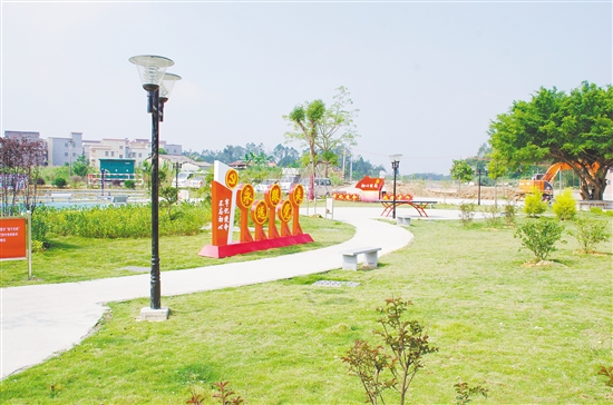 恩平市以全面加强党建为引领 积极谋划和实施