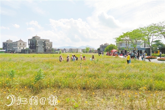 斗山镇浮月村,水步镇草坪村等乡村旅游景点成为热门休闲旅游目的地.