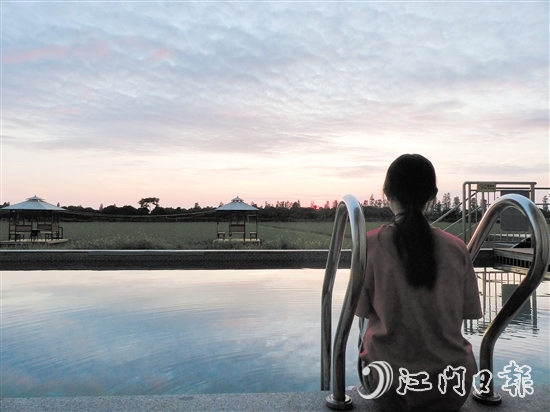 酒店窗外是七色无边际泳池，坐在泳池边，整片绿油油的稻田一览无余。