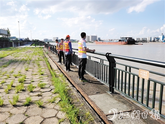 水利部门工作人员在鹤山大堤古劳堤段巡察。