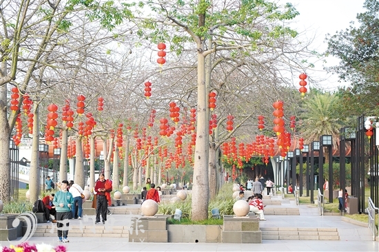 釜山公园道路两旁挂满了红灯笼，满满的年味。