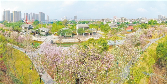 我市义务植树按照“四时有花、四季有绿”原则，种植品种以乡土常绿阔叶树种和开花乔木为主。