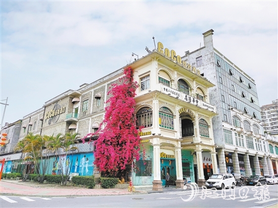 位于长堤历史文化街区的簕杜鹃“瀑布”成为打卡热点。