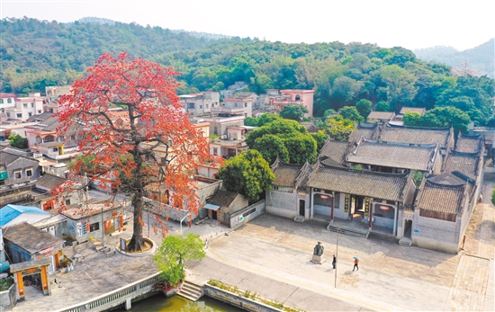 美丽的良溪村，正等待世界各地的宗亲回来祭祖。