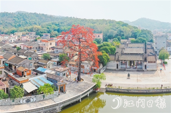 棠下镇大力发展寻根文化，着力打造让侨胞有认同感与归属感的“侨村”。图为被评为江门市“美丽侨村”的良溪村。