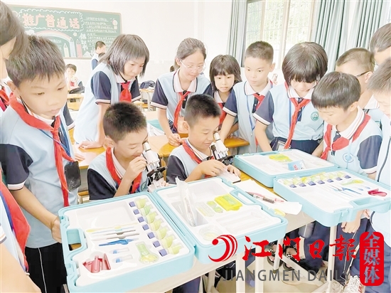 台城桂水小学成为台城第二小学教育集团成员，将为乡村学校带来优质教育。