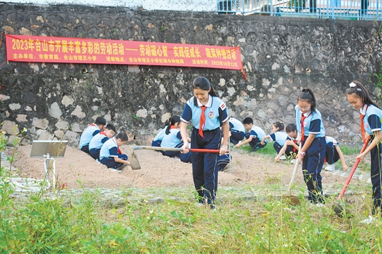 台山市培正小学的学生们拿起锄头翻土。