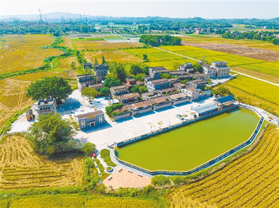本来无人问津的凤仪里，变成令人向往的旅游区。