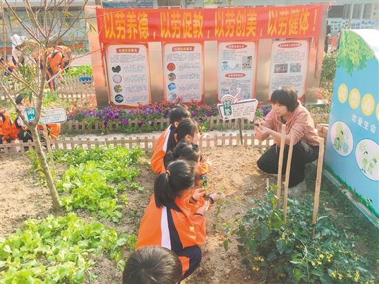 桃源小学教师在“成长农场”里为学生科普农耕知识。