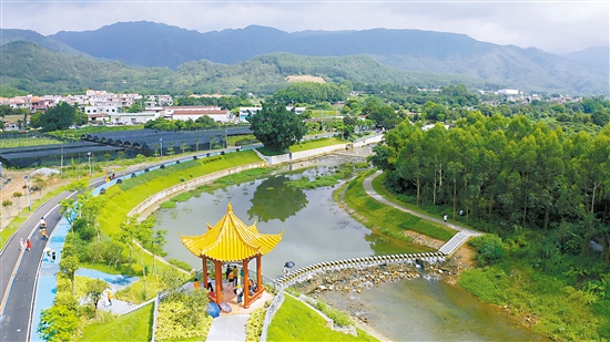鹤山全市村（社区）100%达到干净整洁标准，83%的村（社区）达到美丽宜居标准。图为美丽的鹤城镇五星村。