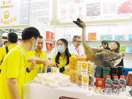 第一届区域品牌博览会吸引了众多区域品牌参加。