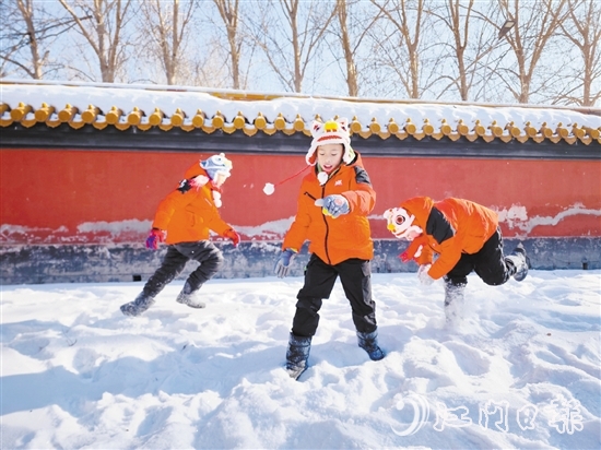 “小醒狮”在玩雪，感受东北魅力。