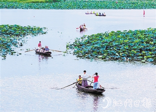 鹤山市打造古劳水乡片区，华侨城古劳水乡成功创建国家4A级旅游景区。