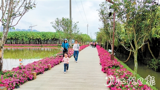 市民游客带着孩子到梅江农业生态园赏花。