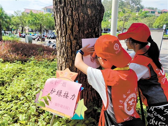 青少年志愿者拓印古樟树树皮的纹路，加深对古树名木的认识。