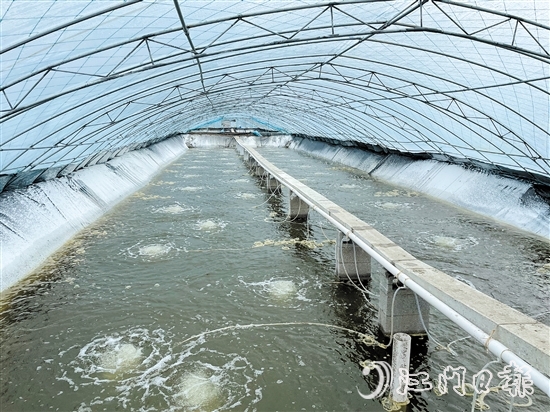在“三资”平台的助力下，横陂镇大亨村咸围养殖场拍出年租665万元的高价。