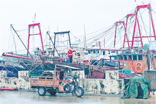 渔民们忙着清洗渔船、修补船体，为休渔做好准备。