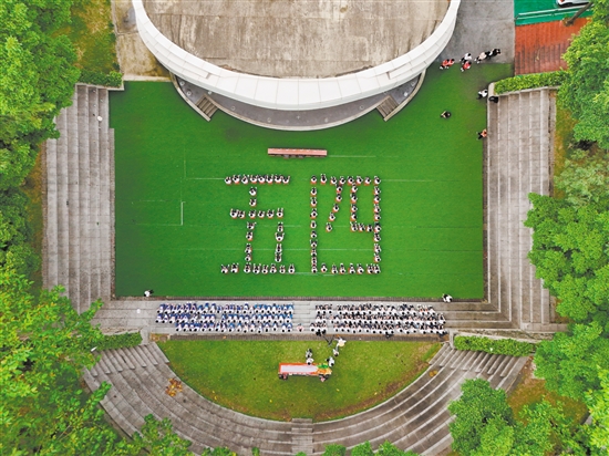 “入团种棵树”2024年江门市入团宣誓仪式在鹤山市第一中学举行。