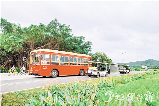 观光巴士穿梭于众多台城地标之间。