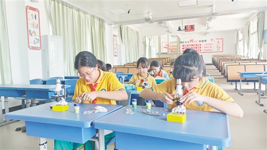 学生们通过显微镜观察蔬菜的表皮细胞，就像一个个“小科学家”。