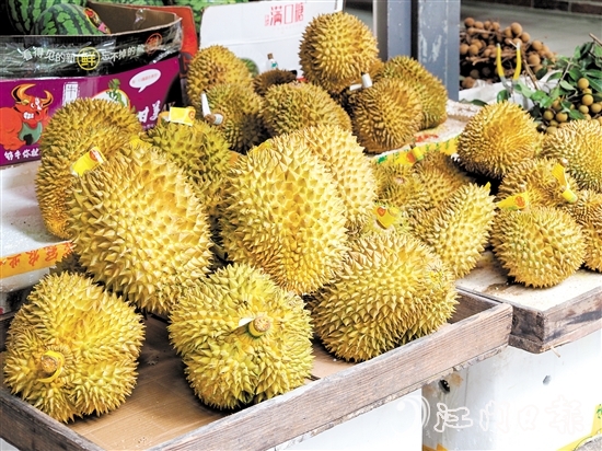 榴莲虽富含多种营养成分，但过量食用会影响身体健康。