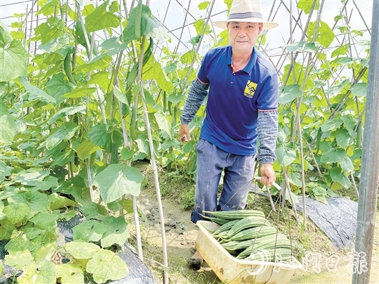 “三瓜两豆”是共和镇大凹村的特色农产品。
