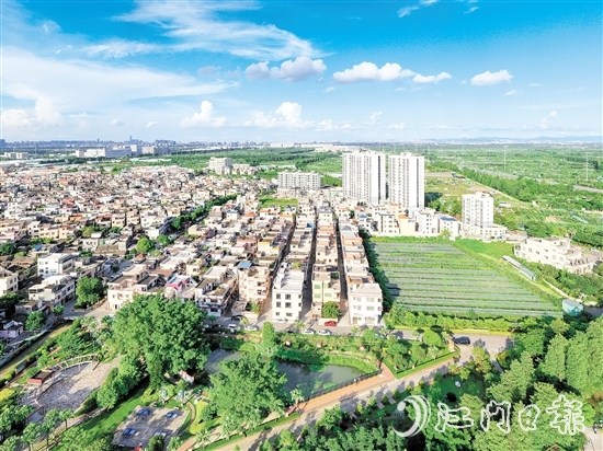礼乐街道英南村先后获得“全国先进基层党组织”“全国乡村治理示范村”等7个“国字号”荣誉称号。