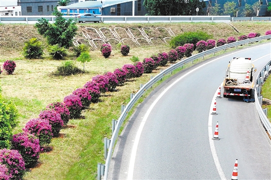 开阳高速公路形成一条路中有景、景中有路的绿美交通廊道。
