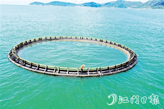江门人保财险指导养殖户做好海水网箱防灾减灾工作。