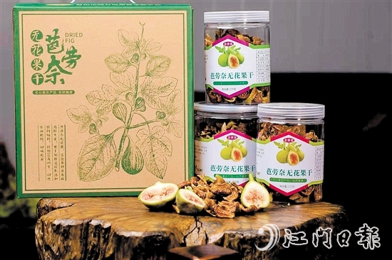 目前，四九镇多个农场增加设备，将无花果制作成果干等附加值更高的产品。