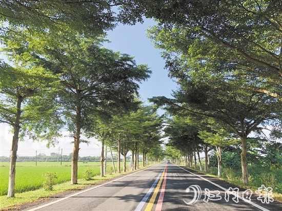 开平市扎实推进绿美生态建设，做好公路沿线绿化提升，可绿化农村公路绿化率达100%。