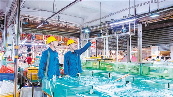 江门台山供电局工作人员主动上门，协助海产品加工、海鲜市场等用户检查用电设备。