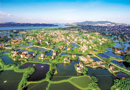 鹤山市积极推动文旅产业提质升级。图为古劳水乡。