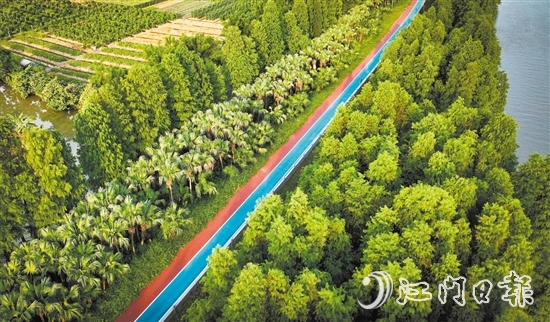 江海区乡村绿廊碧带串联多个公园和自然景观区，成为市民休闲娱乐的好去处。