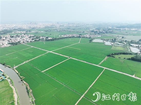 昆阳村更鼓垌连片耕地约133.33公顷（2000亩），通过高标准农田建设，实现“田成方、渠相通、路相连、旱能浇、涝能排”的生产环境，有效提高了耕地质量。
