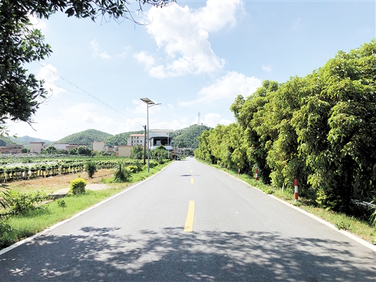 鹤山市农村公路由窄变宽、连线成网，“因路而兴”的美好愿景逐渐显现。