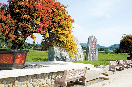 城西村按下乡村振兴“美颜键”,释放文旅消费潜力。 城西村按下乡村振兴“美颜键”,释放文旅消费潜力。