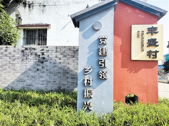 丰盛村坚持党建引领，持续优化人居环境、发展乡村产业，走出强村富民新路子。