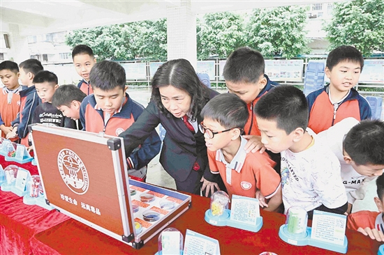 在法治宣传员的指导下,学生们认识毒品的种类。 在法治宣传员的指导下,学生们认识毒品的种类。