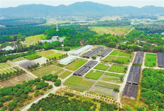 台山市红岭种子园作为国家重点林木良种基地，落实高世代和智能育种区建设，带动多家企业和育苗个体户营建湿加松松树良种繁育圃120公顷，累计生产苗木超3.7亿株，良种良法广泛推广至南方11个省区。