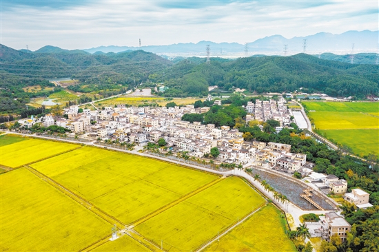 赤溪镇护岭村是客家人聚居村,先后入选广东省首批“百千万工程”典型村、广东省乡村振兴示范村创建名单。